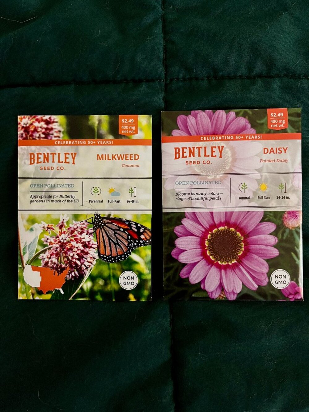 🍒 5/$25 🍒 SEEDS | Painted Daisy & Common Milkweed